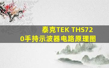 泰克TEK THS720手持示波器电路原理图